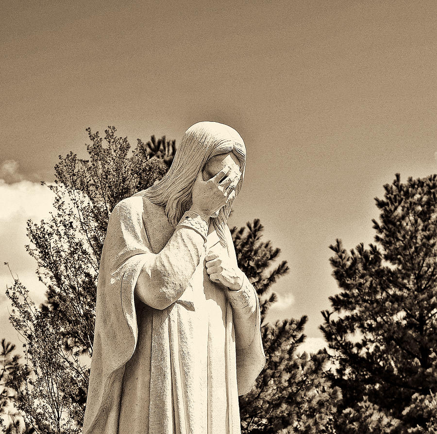 Weeping In Sepia Photograph By Malania Hammer Fine Art America 6294