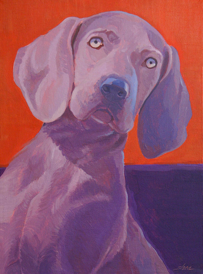 Weimaraner Painting - Weimy Why Not by Shawn Shea