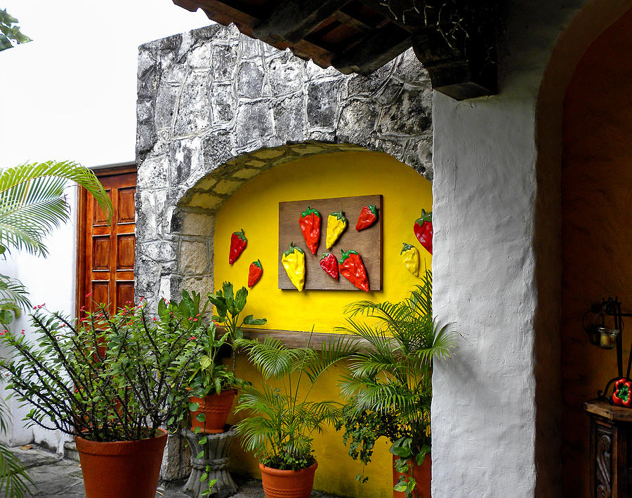 Welcome to the Casita Photograph by Julie Palencia