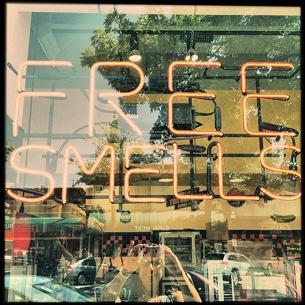 Neon Photograph - Well Come On In! @hipstachallenge by Molly Slater Jones