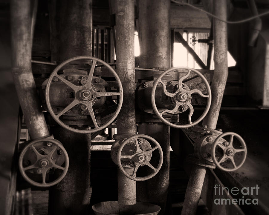Well-tuned Set of Pipes Photograph by Royce Howland