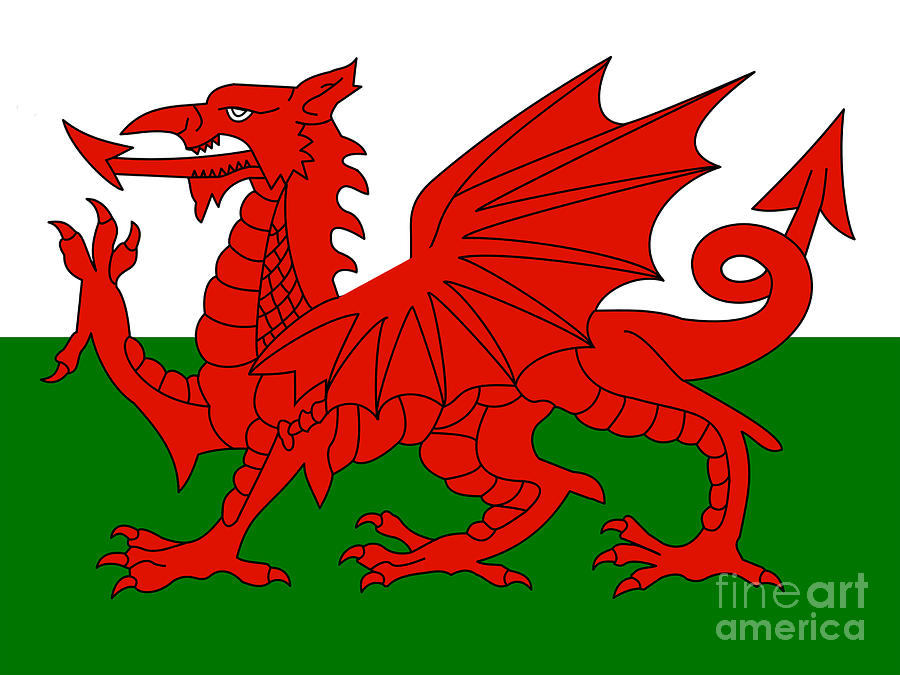 Dragon Photograph - Welsh national flag by Steev Stamford