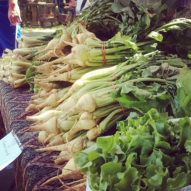 Vegetable Photograph - Were At The Farmers Market Now by Jonathan Bouldin