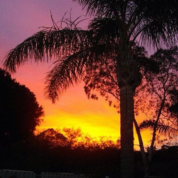 West Aussie Sunrise =)) Photograph by Kristie Brown