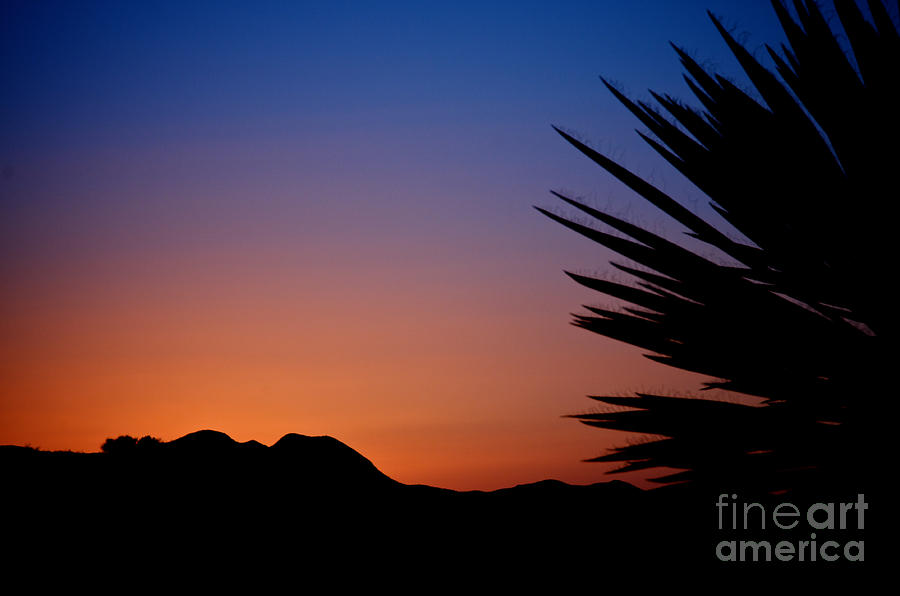 West Texas Sunset Photograph by Sherry Davis