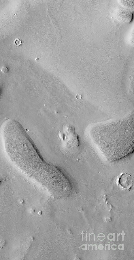 West Utopia Planitia, Mars Photograph by Nasa