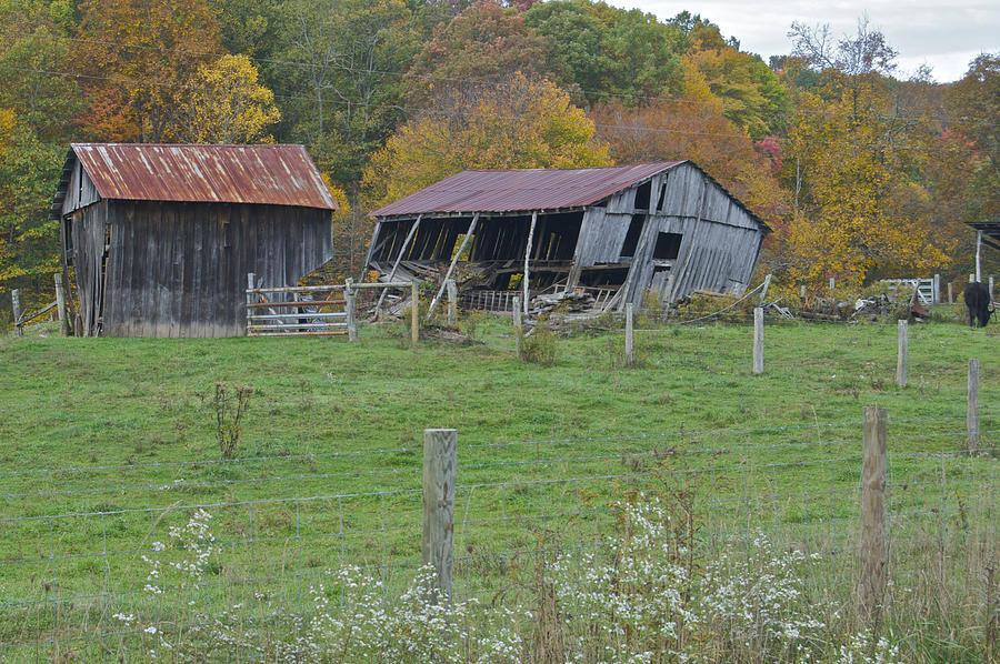 West Virginia Barn 3211 Photograph by Michael Peychich