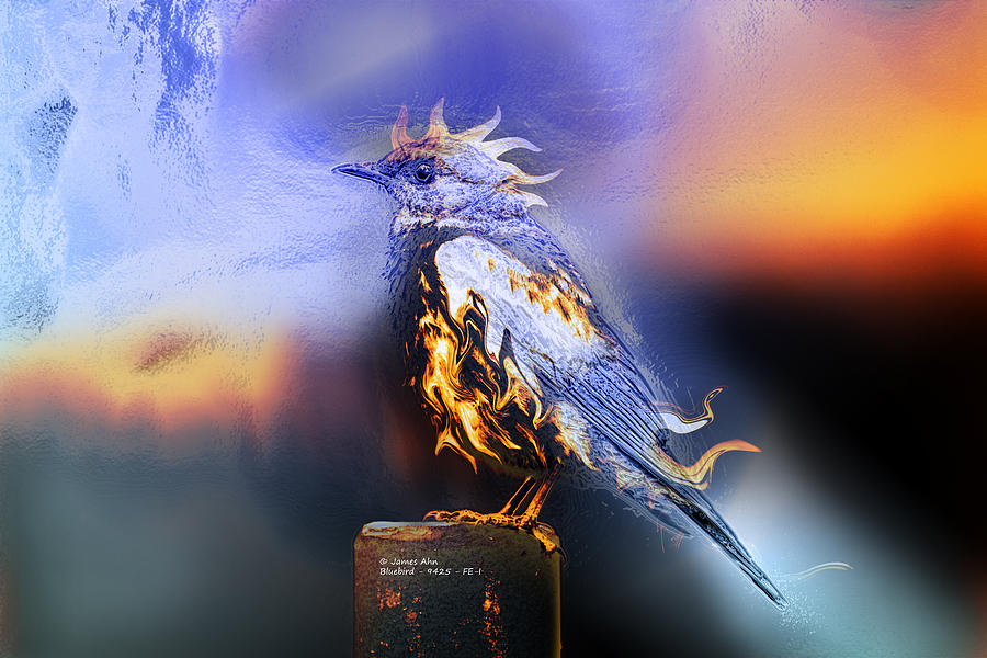 Western Bluebird Fire and Ice Digital Art by James Ahn