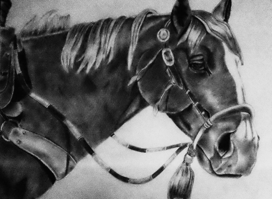 Western Horse Drawing by Scott Hawkman Fine Art America