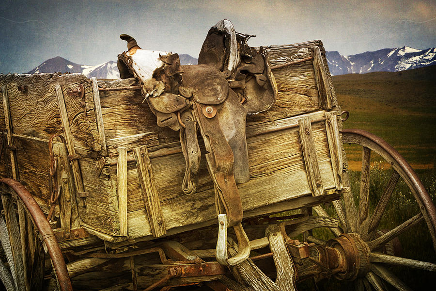 Mountain Photograph - Western Landscape with saddle and wagon No.2336 by Randall Nyhof