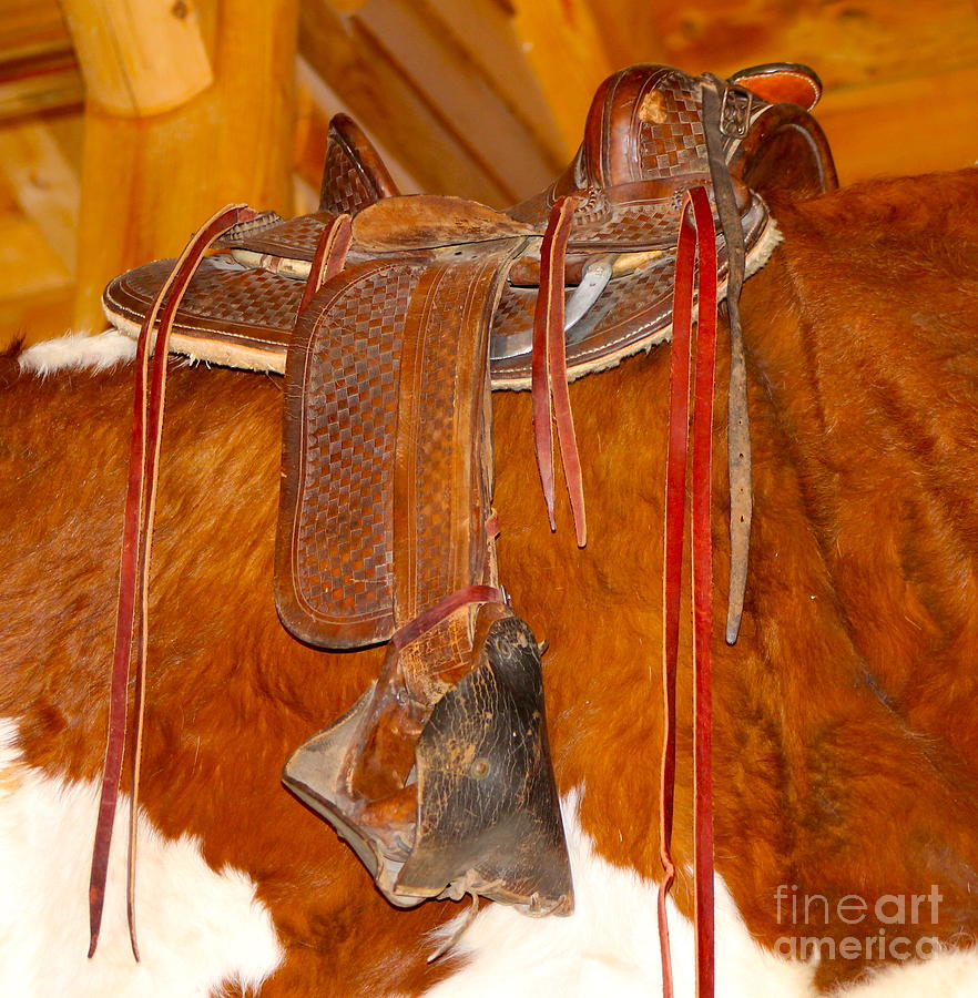 Western Saddle Over Cow Hide Photograph by Pamela Walrath