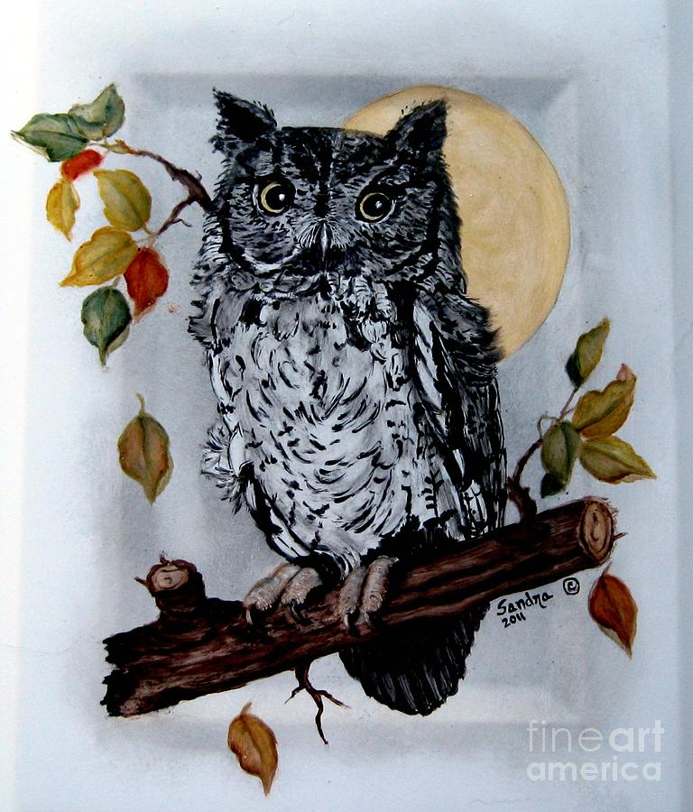 Western Screech Owl Painting - Western Screech Owl by Sandra Maddox