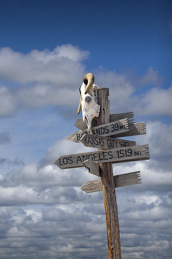 Western Sign Post with a Steer Skull Photograph by Randall Nyhof