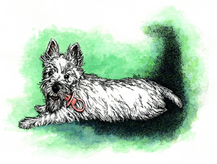 Westie with Soother Painting by Patrice Clarkson