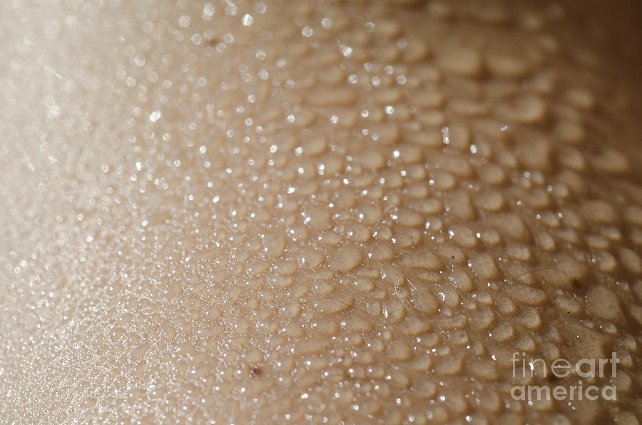 Wet Photograph - Wet skin by Mats Silvan