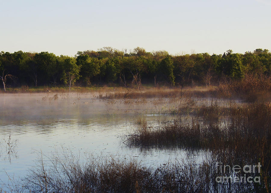 Wildlife Photograph - Wetland Morning by Diana Cox