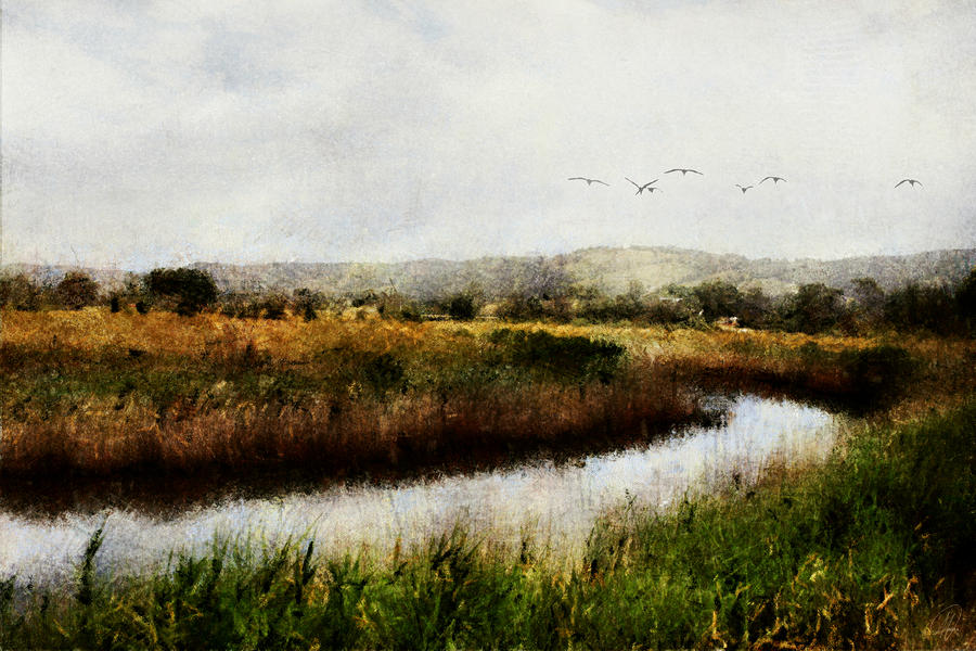 Wetlands Landscape Digital Art by Margaret Hormann Bfa