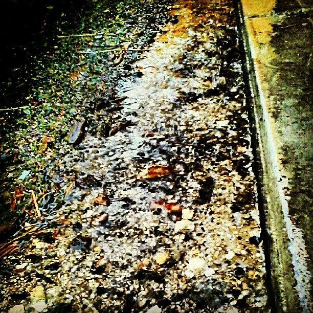 Concrete Photograph - #wet#rocks#concrete#rain#igdaily by Michael Green