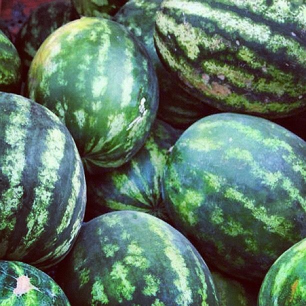 What A Lovely Bunch Of Watermelons! Photograph by Sand I Am