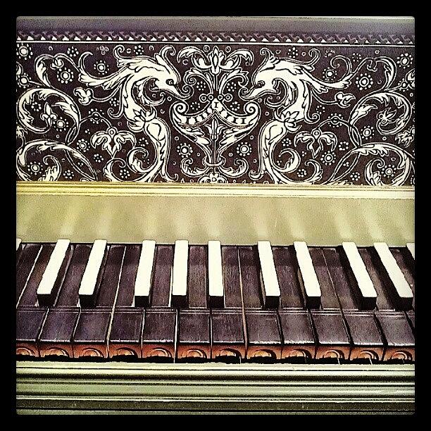 What A Lovely Instrument. Hortus Photograph by Luise Sommer
