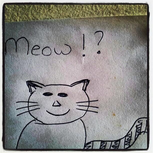 Funny Photograph - What My Room Mates Draw! #cat #drawing by Abdelrahman Alawwad Funny Photograph - What My Room Mates Draw! #cat #drawing by Abdelrahman Alawwad