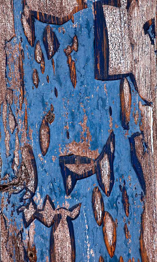 Whats Left Of The Blue Paint Photograph by James Steele