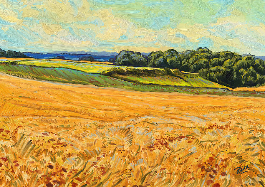 Wheat field in Limburg Painting by Nop Briex