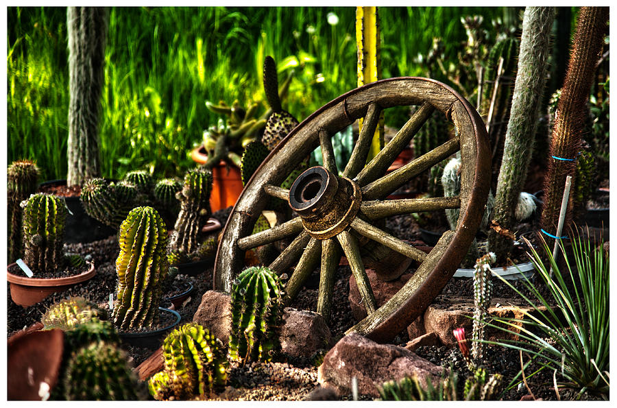 Pot Photograph - Wheel and Cactus  by Thomas Kessler