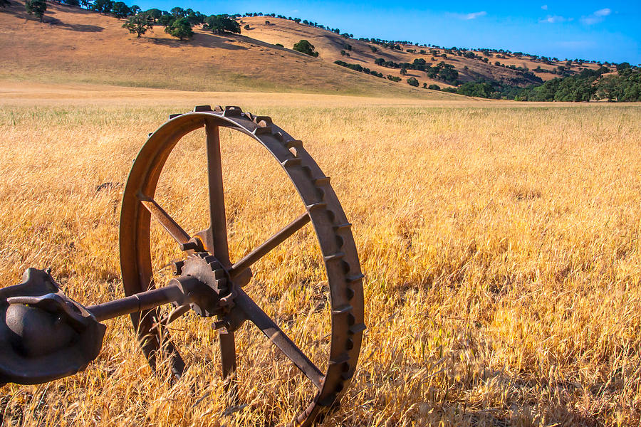 Wheel In A Field Photograph by Marc Crumpler