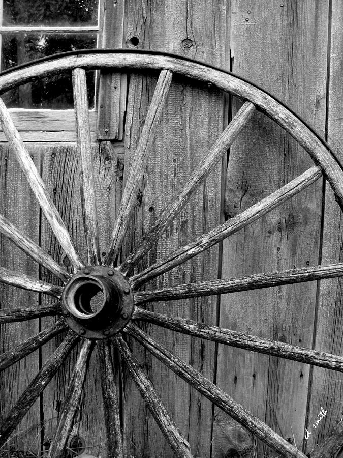 Wheel of Fortune Photograph by Edward Smith