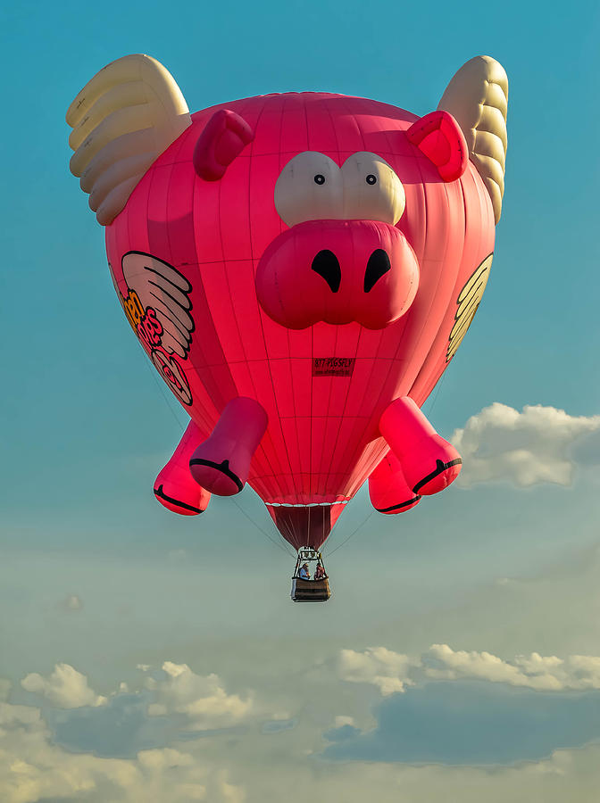 When pigs fly Photograph by Brian Stevens