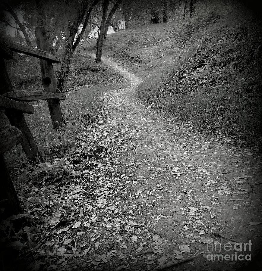 Trails Photograph - Where Does this Lead by Diana Besser