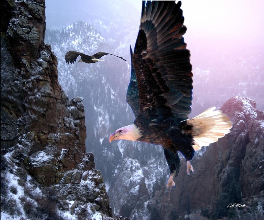 Where Eagles Dare Digital Art by Bill Stephens
