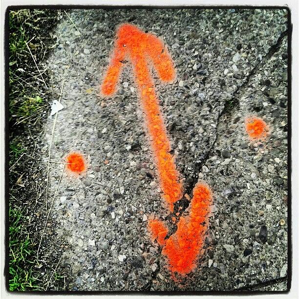Urban Photograph - Which Way? #spraypaint #grafitti #dig by Haley BCU