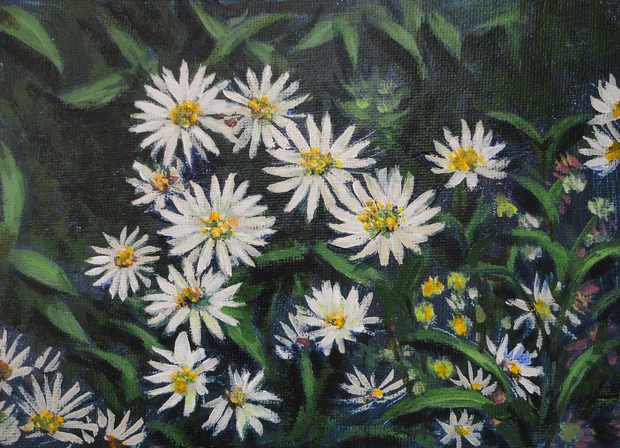 Whie Asters Painting By Usha Shantharam 