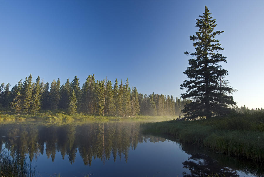  Whirlpool  Lake  Riding Mountain Photograph by Dave Reede