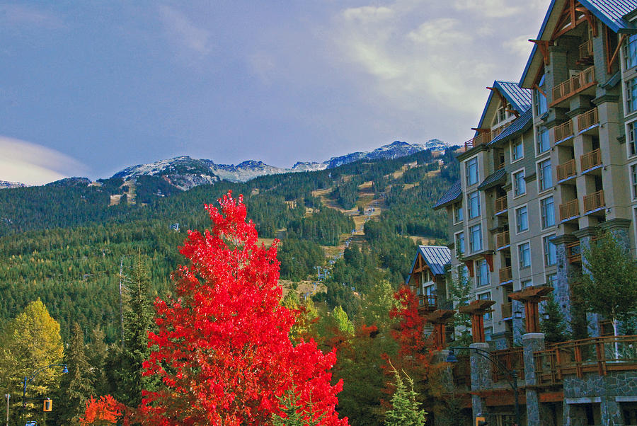Whistler Red Photograph by Lynn Bauer