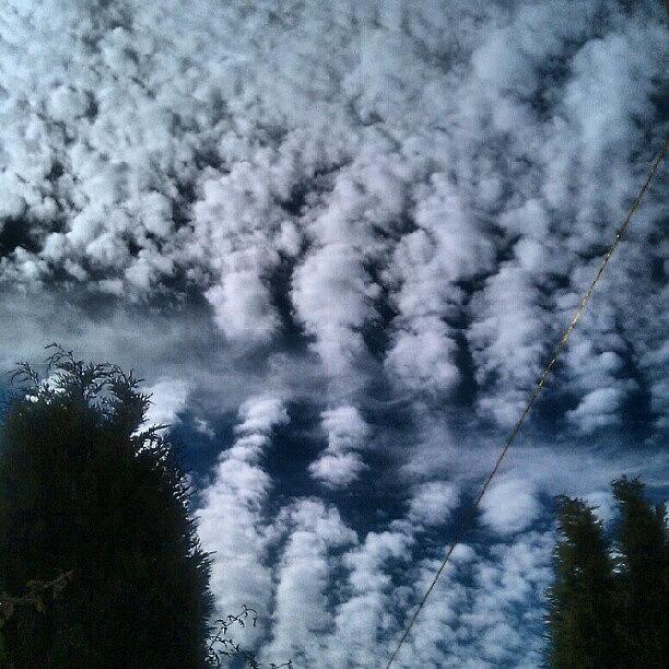 Clouds Photograph - White And Fluffy #clouds by X Thompson