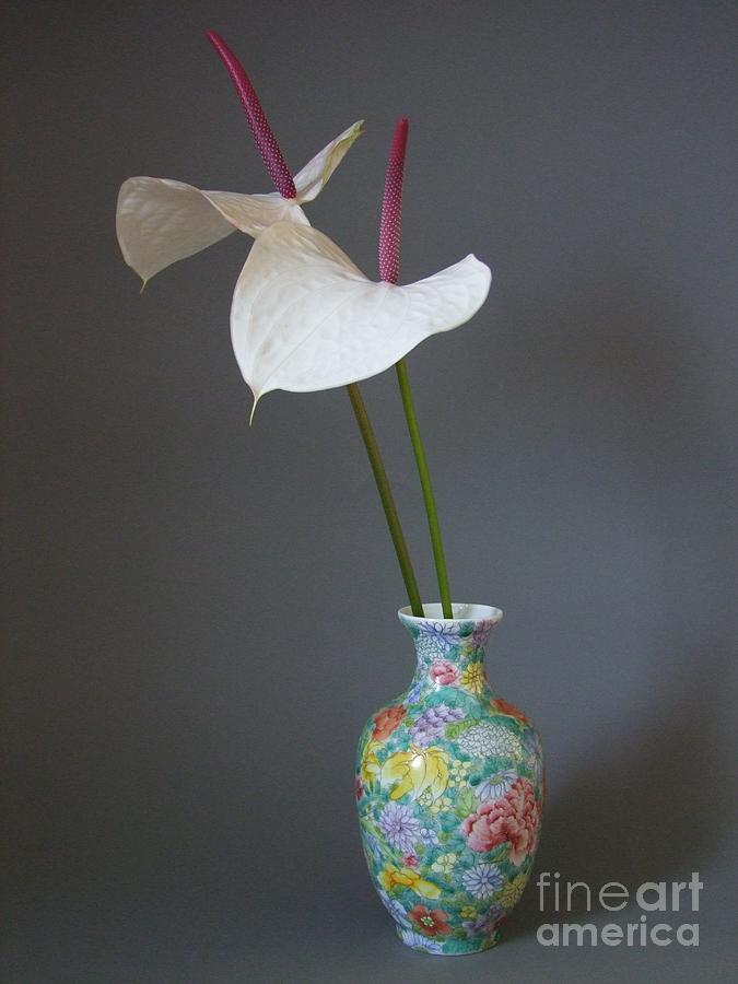 Flower Photograph - White Anthuriums in a Vase by Mary Deal