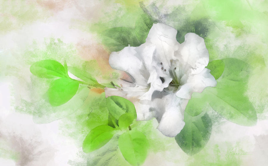 White Azalea 2 Digital Art by Frances Miller