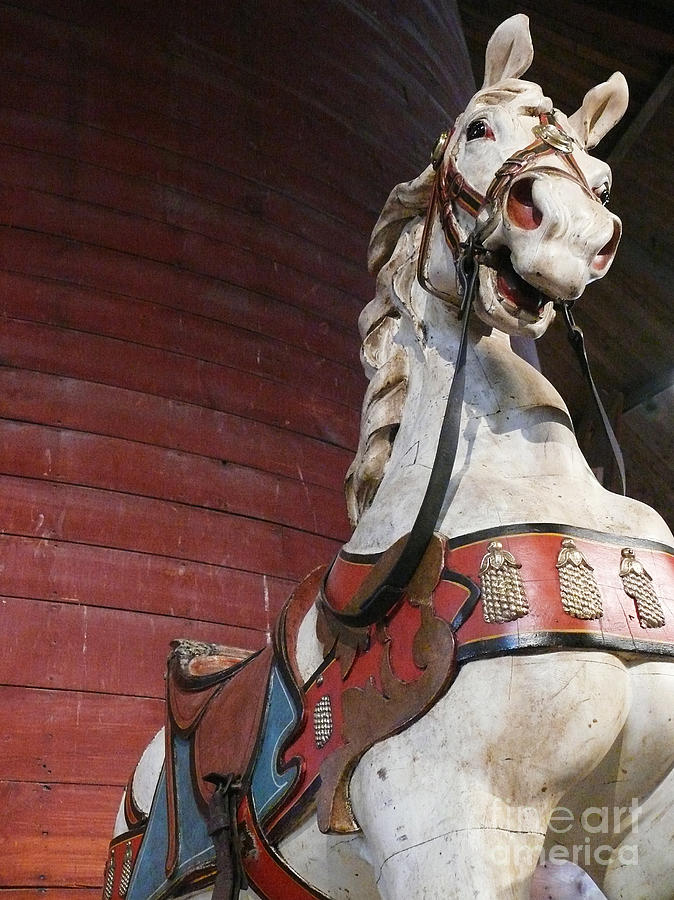 White Carousel Horse Photograph by Jeanne  Woods