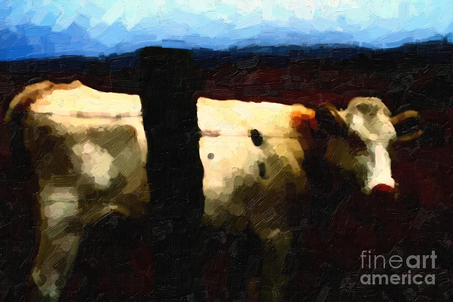 White Cow Behind Fence at Night Photograph by Wingsdomain Art and Photography