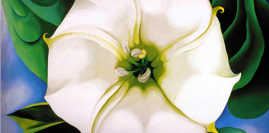 Abstract Photograph - White Flower 9 by Sumit Mehndiratta