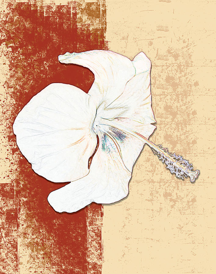 White Flower Digital Art by Milena Ilieva