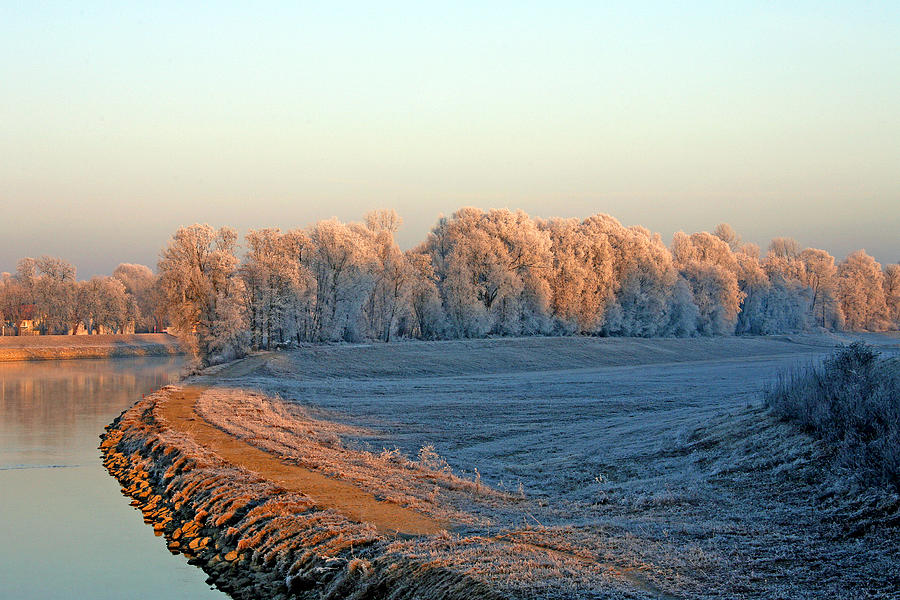 White Frost In Trees 2 Photograph by Ralf Kaiser