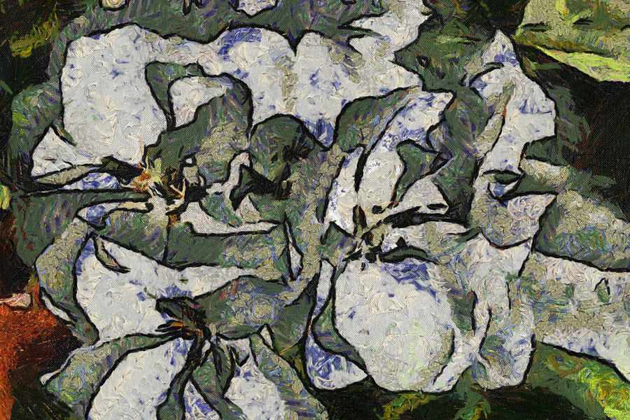 White Geraniums   -- VanGogh Digital Art by Charles Muhle