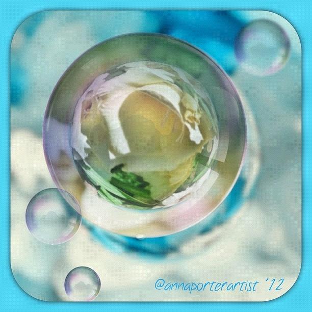 Flower Photograph - White Gladiola Marble In A Bubble by Anna Porter