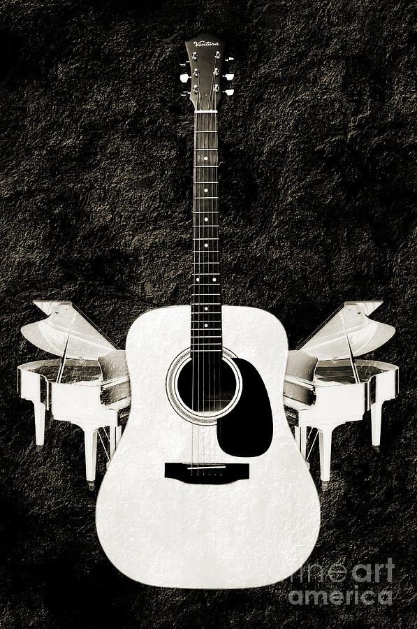 White Guitar Butterfly Photograph by Andee Design