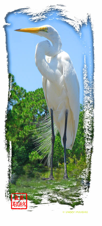 White Heron Photograph by Larry Mulvehill