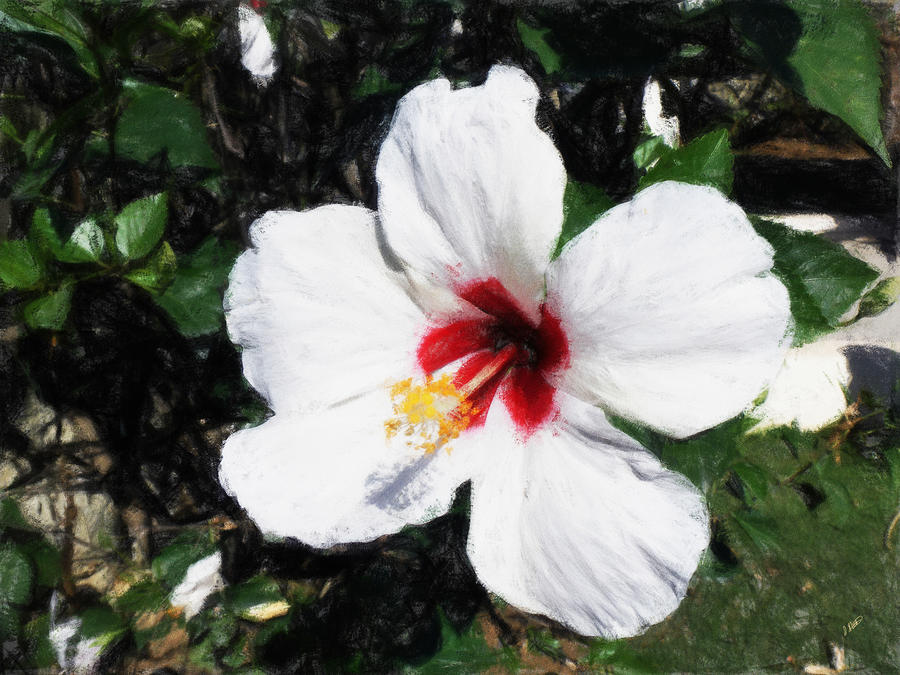White Hibiscus 301 Painting by Dean Wittle